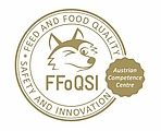 Logo FFoQSI GmbH